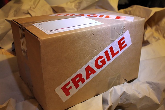 déménagement paris Carton Fragile